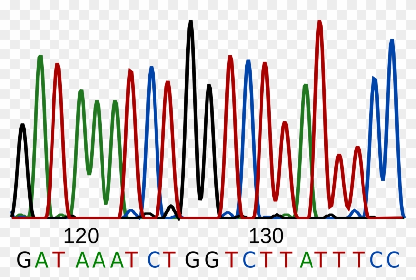 Main Sequence Cliparts 1, Buy Clip Art - Sanger Sequencing #383606