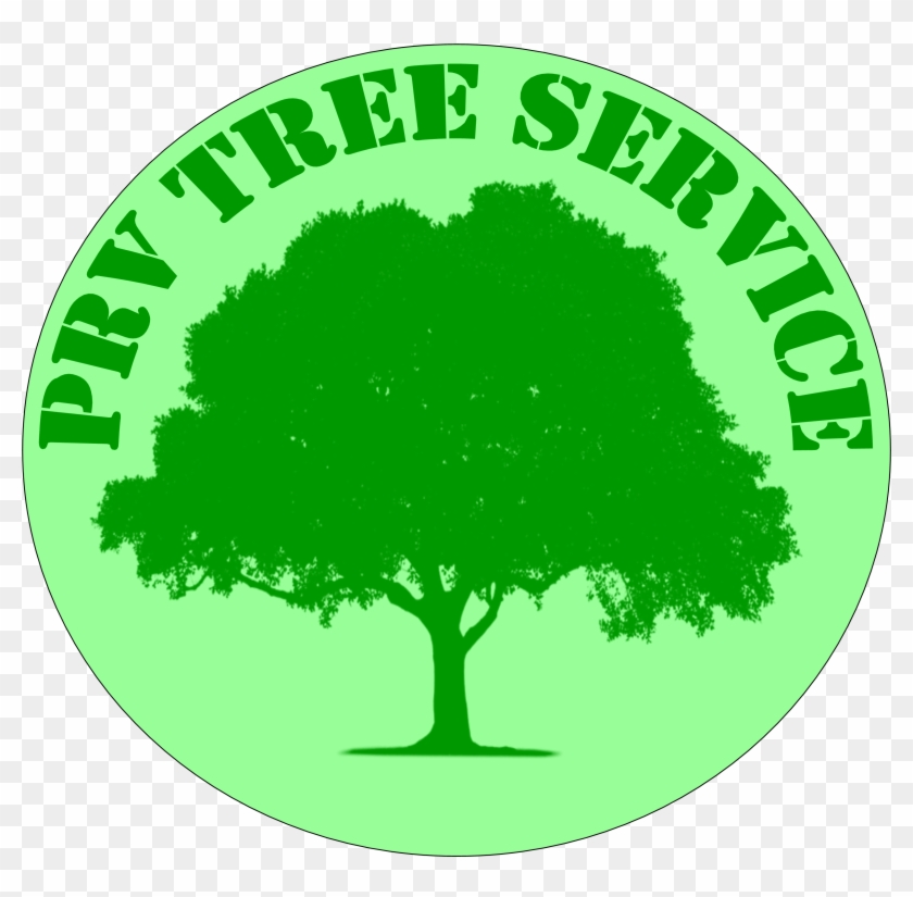 Prv Tree Service - Pokonaj Depresje Stres I Lek [book] #383708