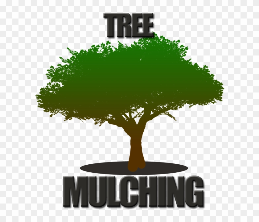 Tree Mulching Fort Worth - Very Nice Background #383716