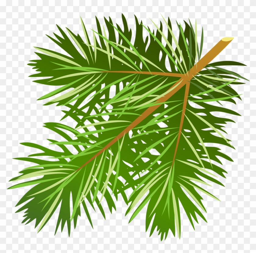 Pine Tree Branch Clipart - Pine Leaves Clip Art #383717