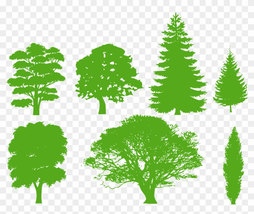 Trees Silhouette Variety Png Image - Pine Tree Silhouette #383845