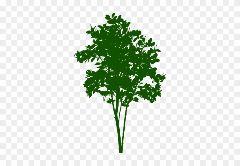 Small Tree Symbol - Small Tree Png #383851