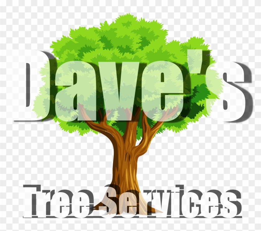 Tree Removal - Sandy Springs #383883