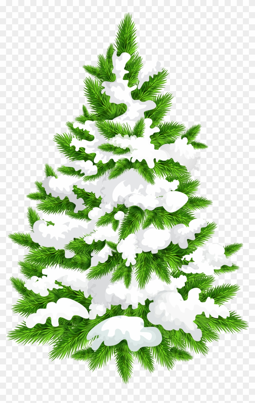 Snowy Pine Tree Png Clip Art Image - Clip Art #383946