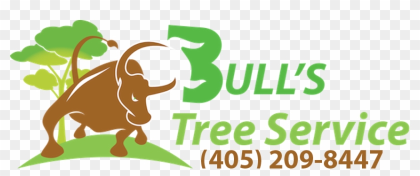 Tree Service Oklahoma City - Oklahoma #383964