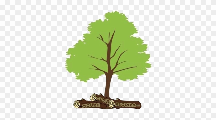 Cut Tree Clip Art #384003