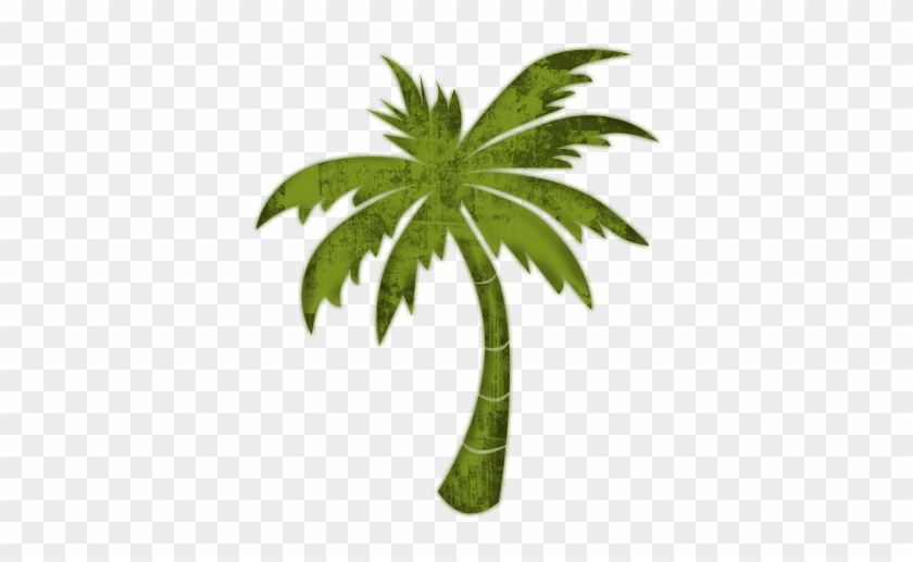 Palm Trees #384017
