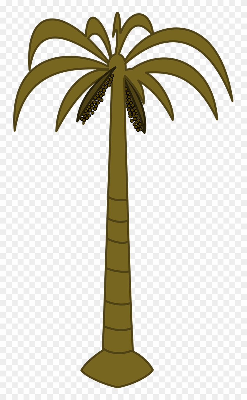 Palm Tree Tropical Tall Png Image - Palm Tree Clip Art #384057