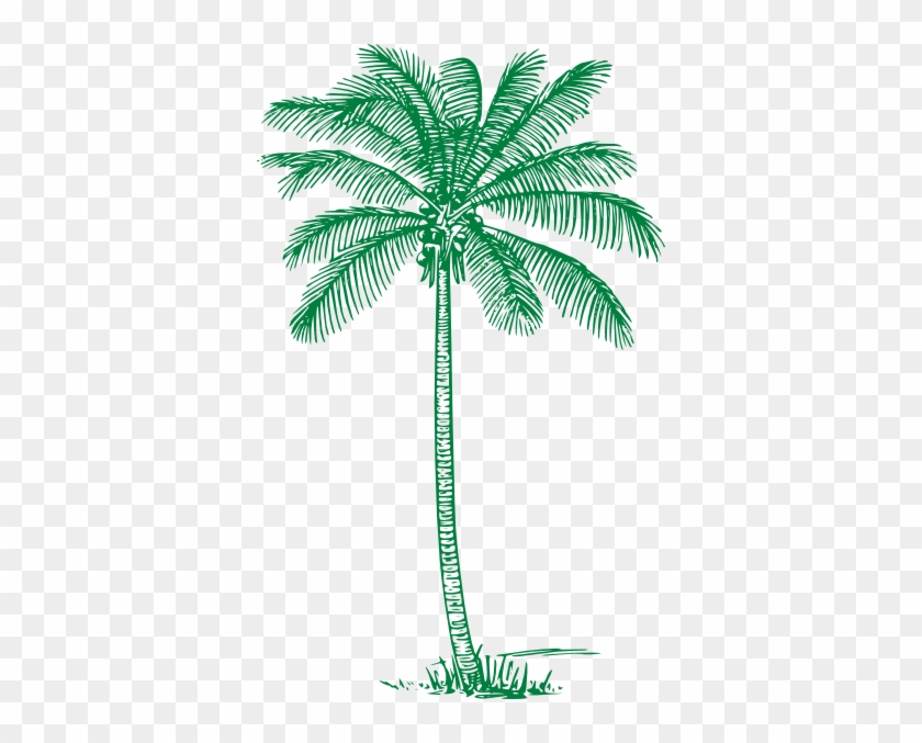 Mint Clipart Tree - Coconut Tree Line Art #384071