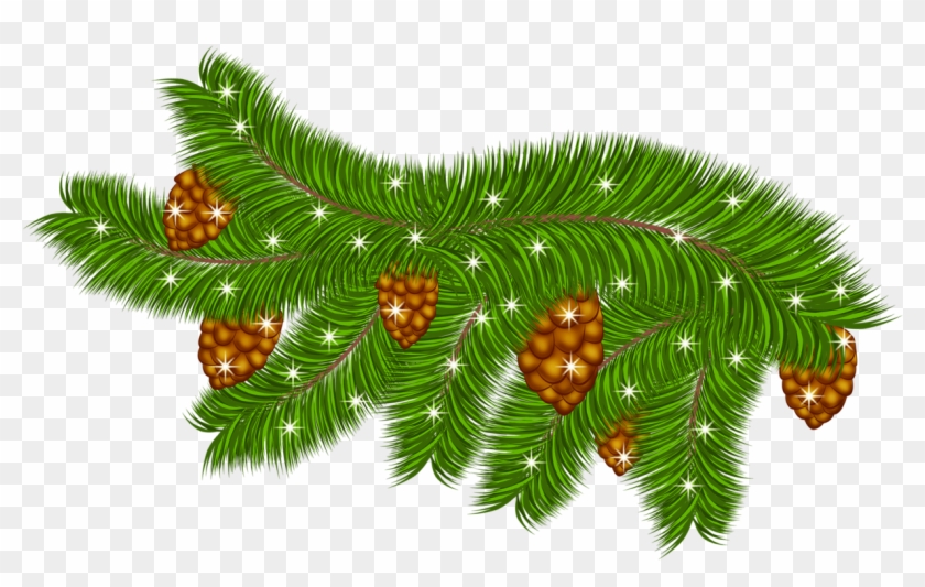 Transparent Pine Branch With Pine Cones Png Clipart - Transparent Pine Branch With Pine Cones Png Clipart #384179