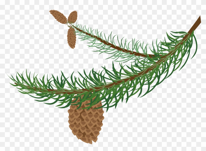 Big Image - Christmas Tree Branch Clip Art #384212