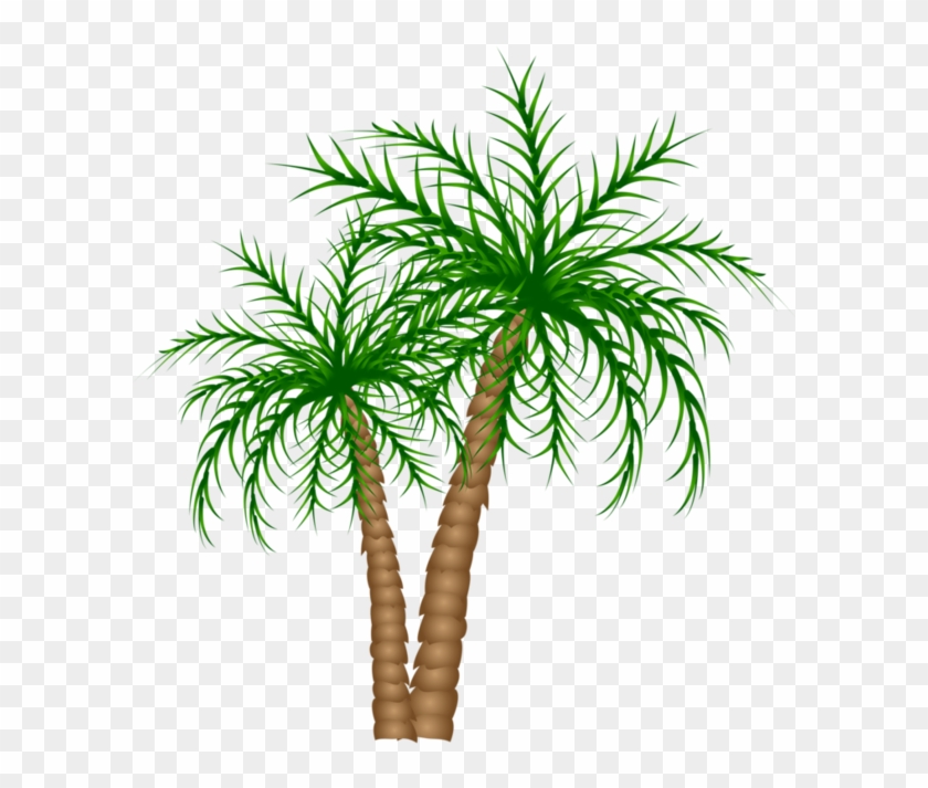 Arecaceae Tree Date Palm Clip Art - Arecaceae Tree Date Palm Clip Art #384321