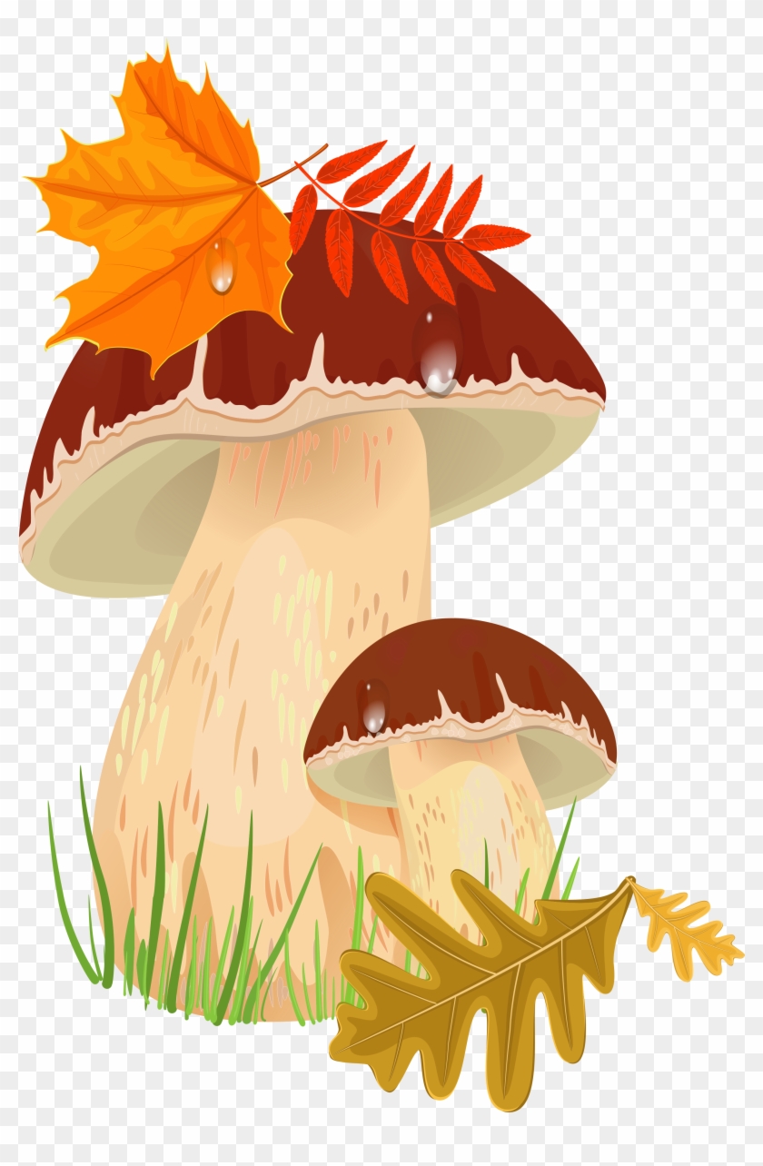 On The Desktop Aljanh - Mushroom Png Fall #384362