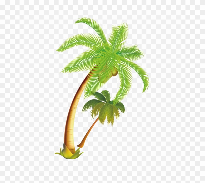 Coconut Tree Png Download Image - Coconut Tree Vector #384444