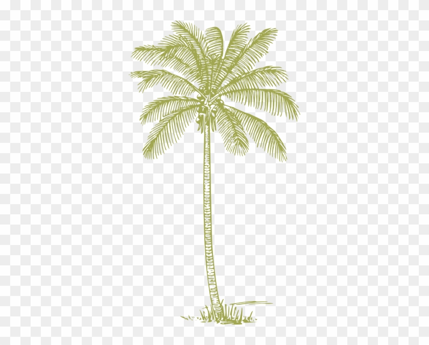 Green Palm Tree Png #384491