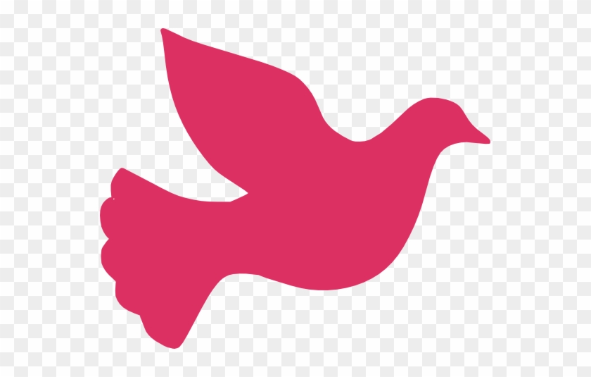 White Dove Water Painting-images - Pink Dove Clip Art #384506