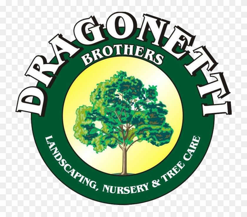Dragonetti Brothers Landscaping, Nursery And Tree Care - Grey Trees Rechabites Bitter #384510