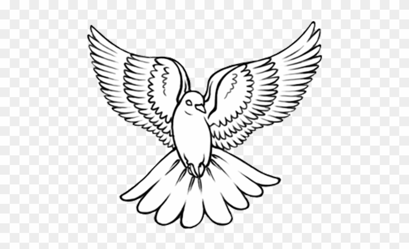 100 Peace Dove Tattoos For Guys 2023 Realistic Designs