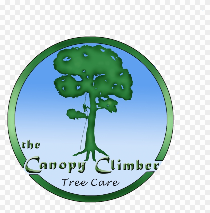 The Canopy Climber, Llc Logo - Gambel Oak #384514