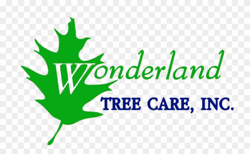 Wonderland Tree Care, Inc - Arborist #384518