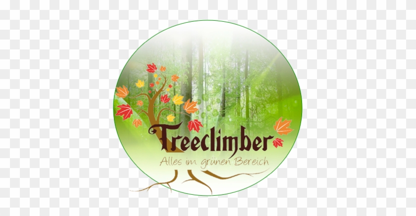 Treeclimber Stefan Conradi - Adam Lambert Wallpaper Hot #384527