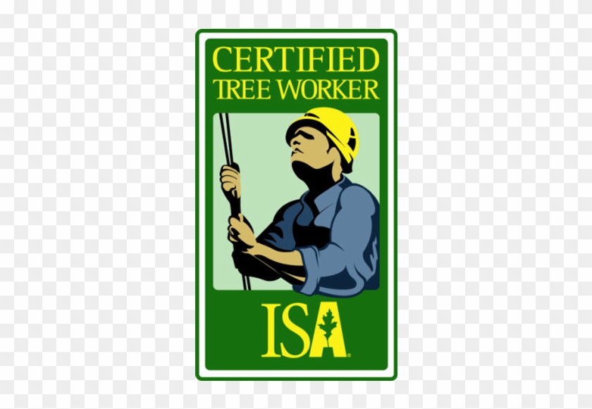 Image 1265722 Certififed Tree Worker Logo - Isa Certified Tree Climber #384536