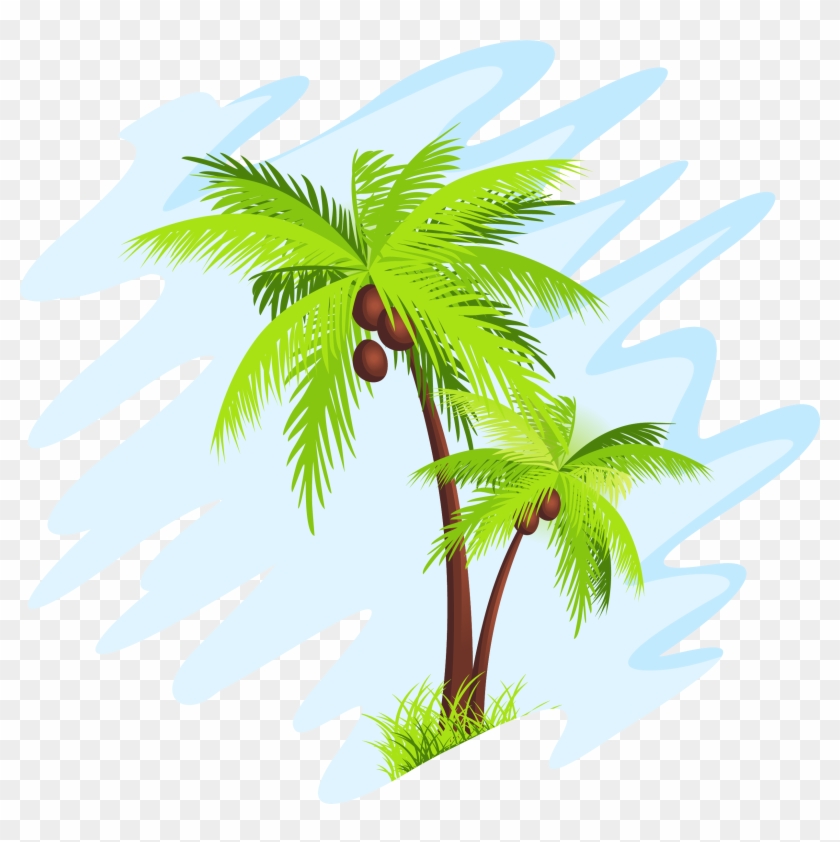 Coconut Arecaceae Tree Clip Art - Coconut Arecaceae Tree Clip Art #384619