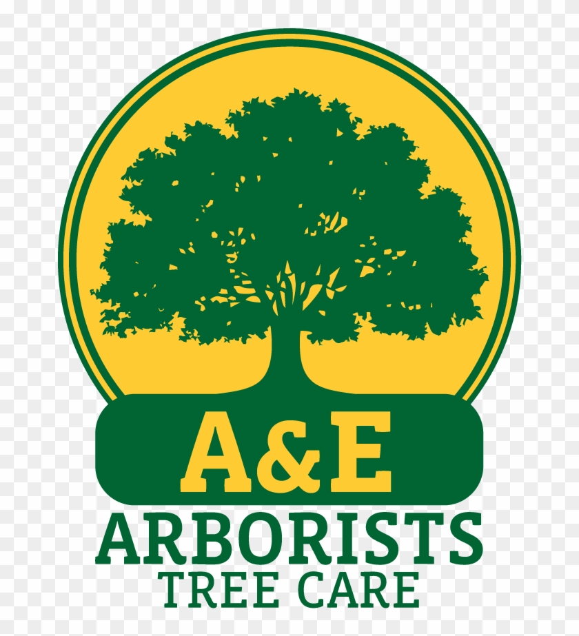 A&e Arborists Tree Care - Illustration #384549