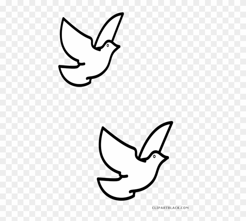 Dove Silhouette Animal Free Black White Clipart Images - Paloma Para Colorear #384577