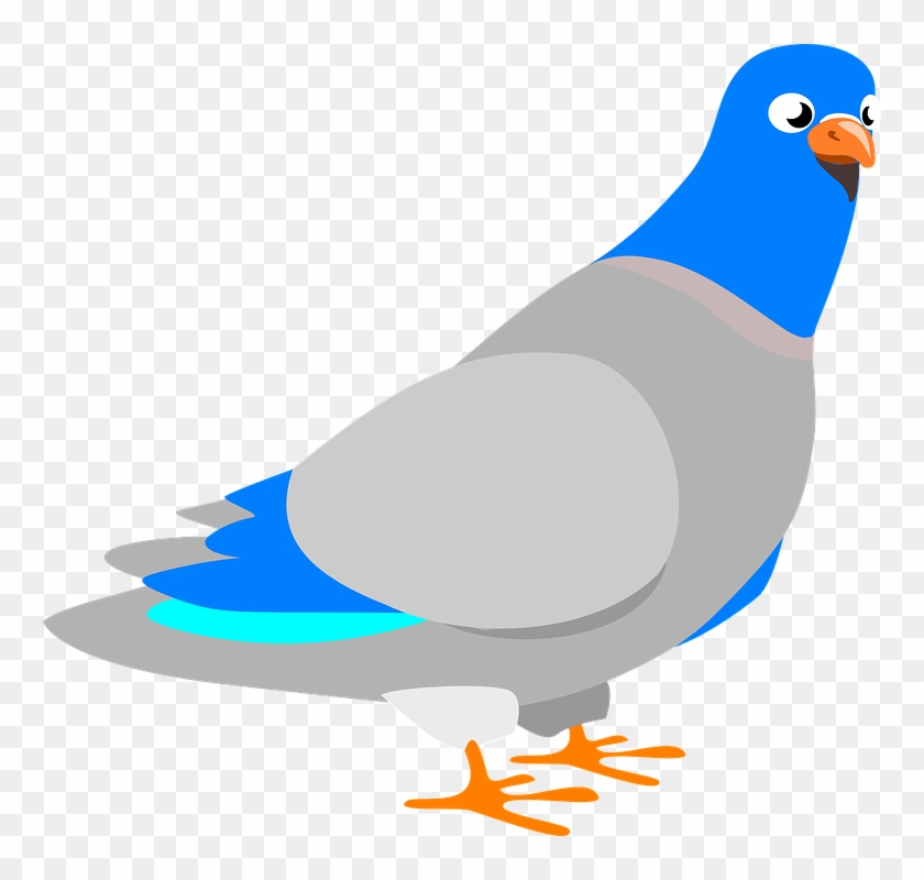 Dove Clipart Burung - Another Word For A Long Time #384583