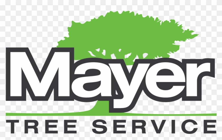 Tree Service Mayer Tree Service Locations Rh Mayertree - Web Design #384597