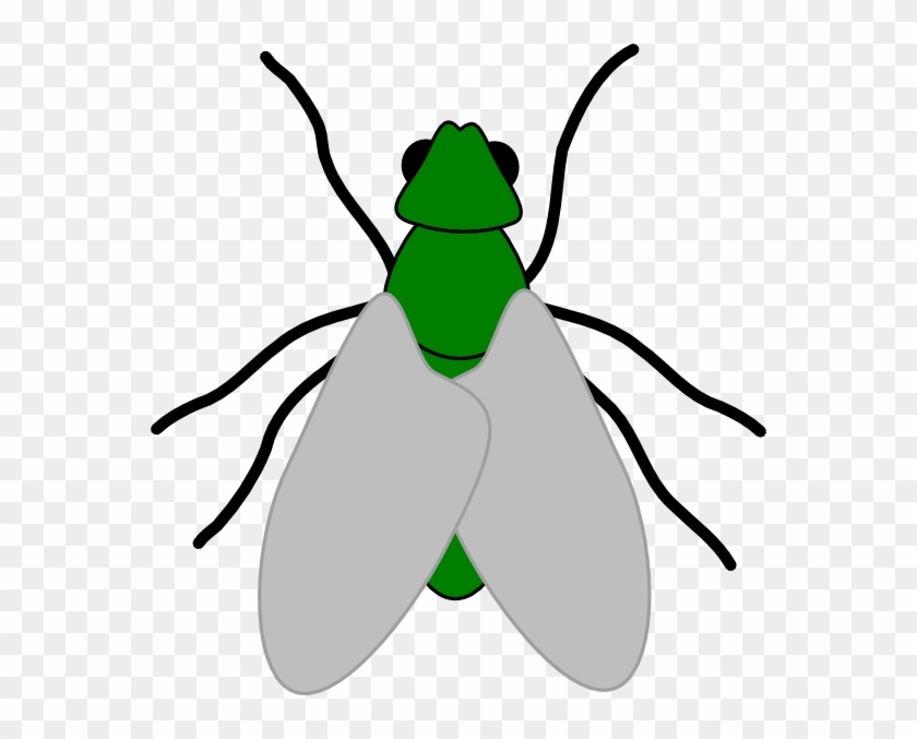 Cartoon Green Fly #384602