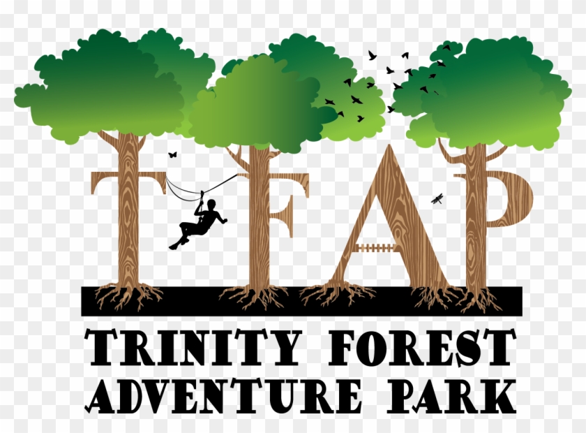 Tfap Logo - Trinity Forest Adventure Park #384610