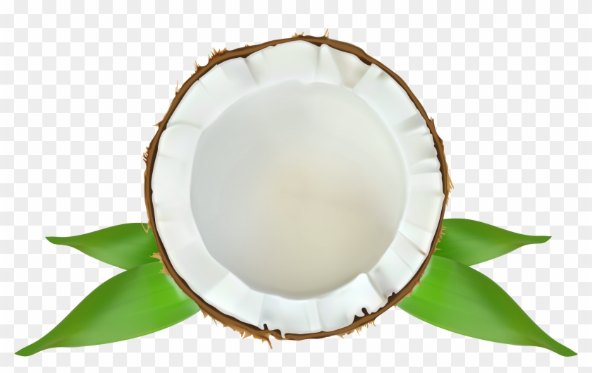 Coconut Transparent Png Clip Art Image - Coconut Clip Art #384626
