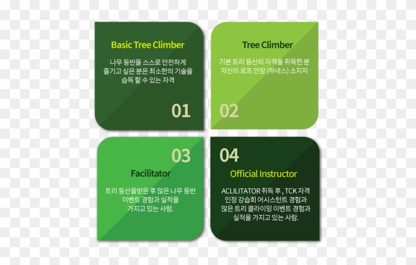 나무오르기 - Illustration #384623