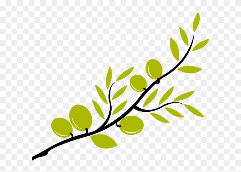 Olive Branch Drawing Clip Art Clipart Best - Clip Art Olive Branch #384631