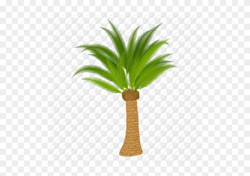 Pictures Of Cartoon Palm Trees - Illustration #384644