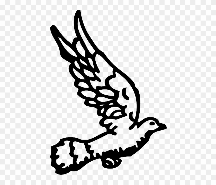 Bird, Dove, Flying, Doves, Fly - Gambar Merpati Hitam Putih #384681