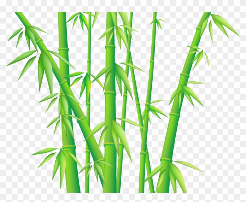Marvellous Design Bamboo Clip Art Download Free Png - Bamboo Png #384732