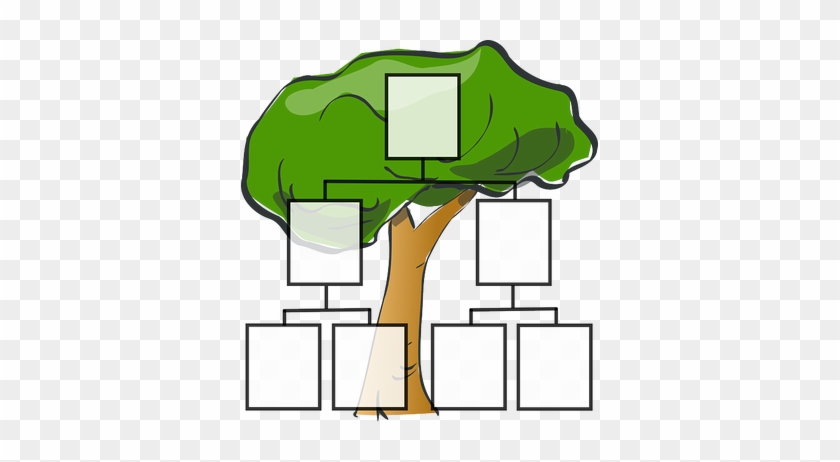 blank family tree clip art