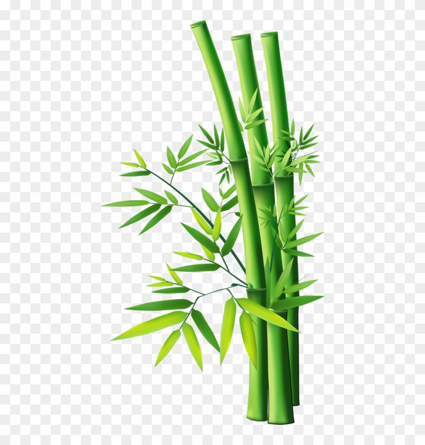 Bamboo Clip Art - Bambu Png #384740