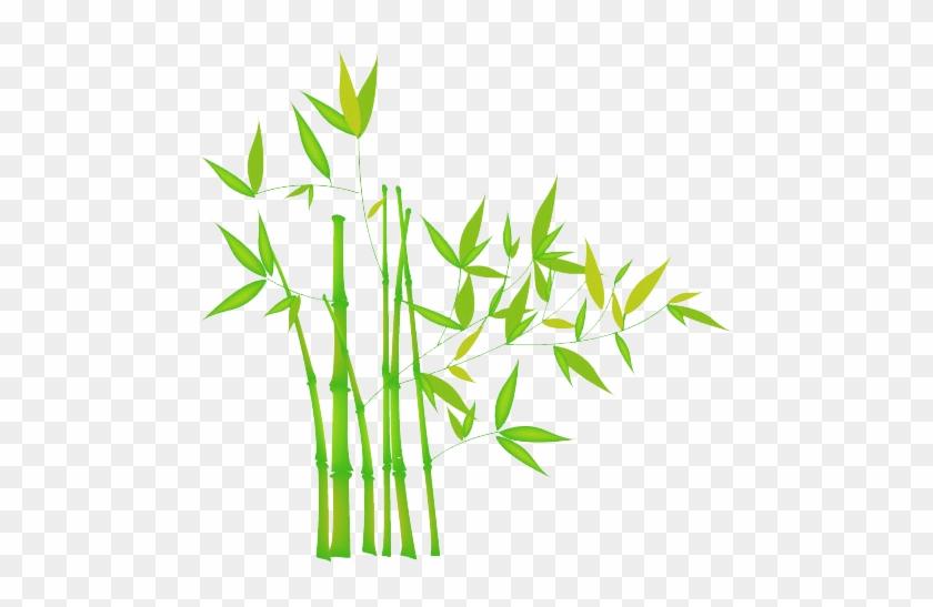 Bamboo Transparent Png Png Mart - Bamboo Image Without Background #384746