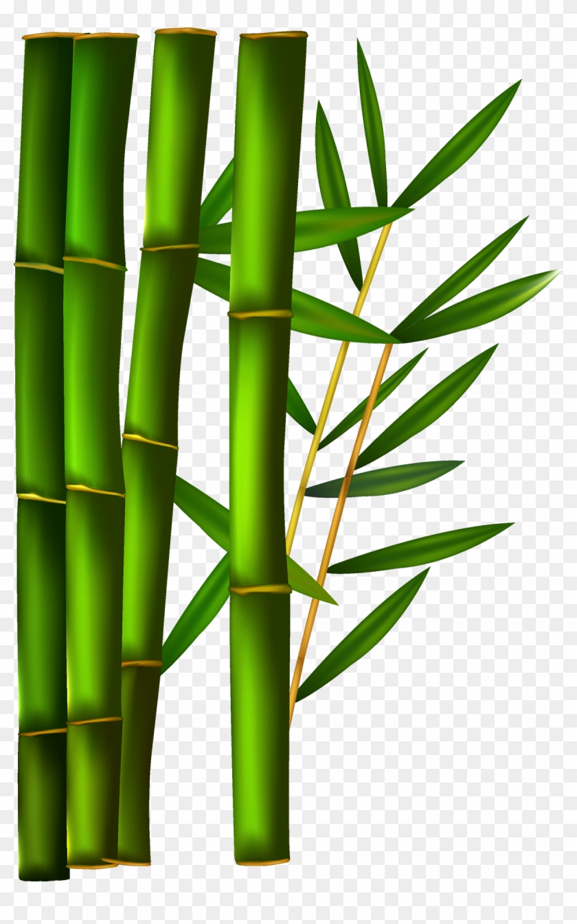 Paper Bamboo Clip Art Green Bamboo 1200 1867 Transprent - Paper Bamboo Clip Art Green Bamboo 1200 1867 Transprent #384886