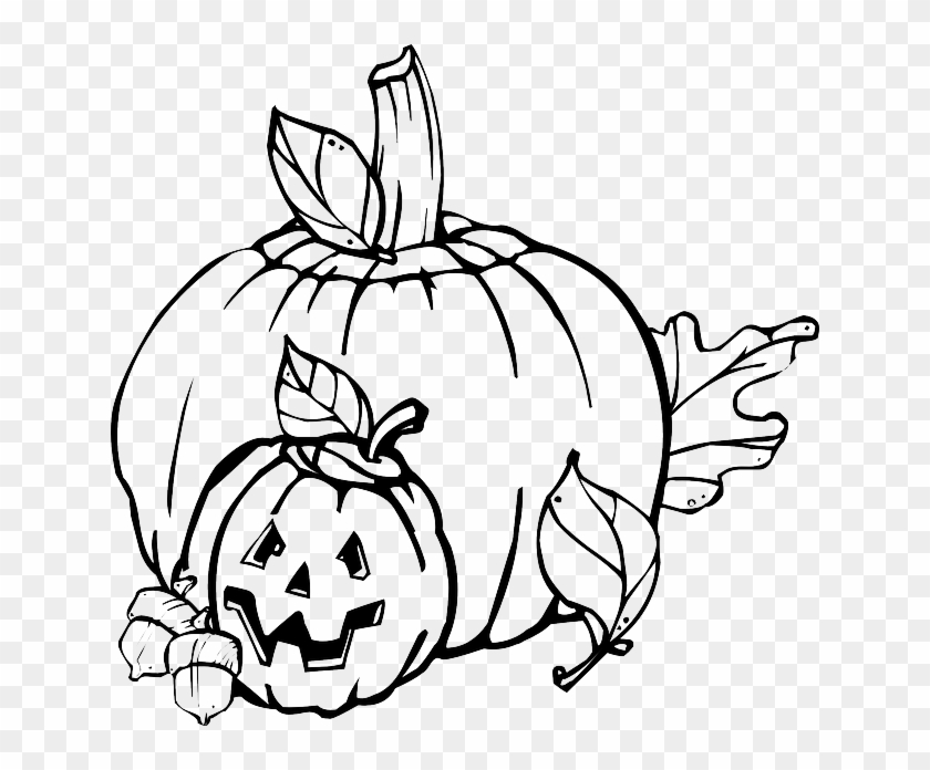 Fall, Pumpkin, Outline, Drawing, Jack, Leaf - Black And White Halloween Clip Art #384810