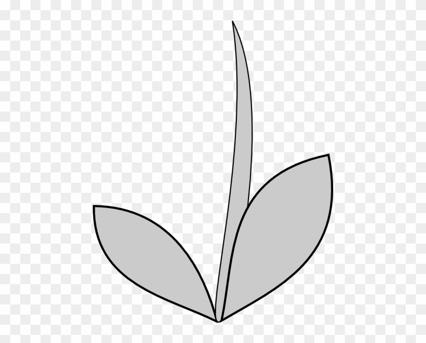 Flower With Stem Outline - Flower Stems Clipart #384813