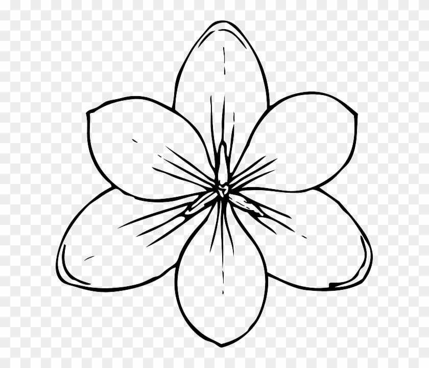 Top, View, Simple, Outline, Drawing, Sketch - Coloring Pages Of Flowers #384827