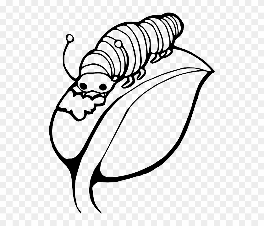 Black, Worm, Outline, Leaf, White, Cartoon, Caterpillar - Caterpillar On A Leaf #384832