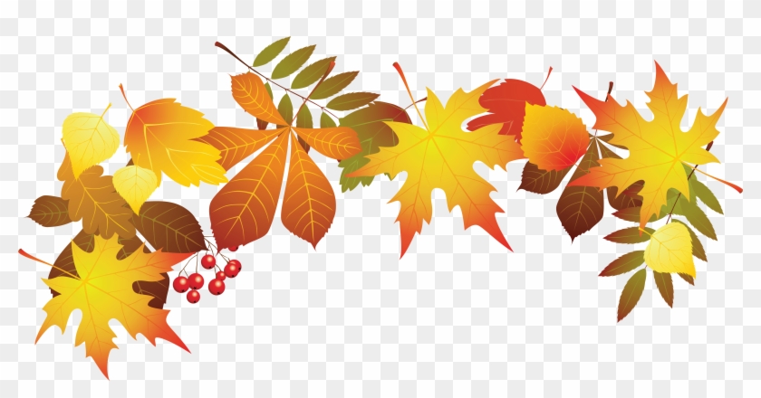Transparent Autumn Leaves Decoration Png Clipart Image - Fall Leaves Transparent Background #384845