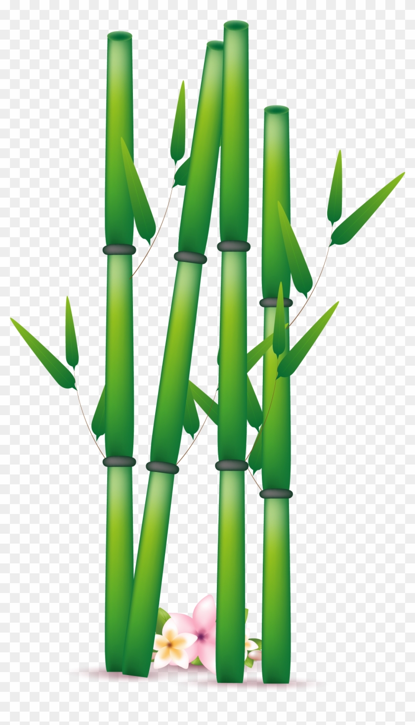 Bamboo Png Clipart Image 01 - Bamboo Clipart #384895