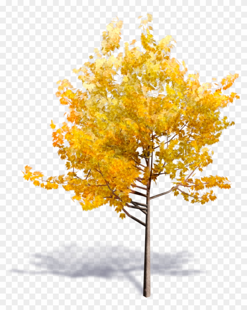 Yellow Tree Png #384908